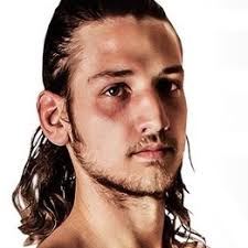 Aries Fight Series AFS