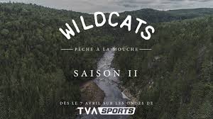 Une navigation simple et conviviale pour améliorer votre expérience mobile. Wildcats Teaser Saison 2 Tva Sports Youtube