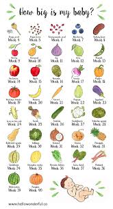 What foods are in the fruit group? How Big Is My Baby Fruits And Vegetables Infographic Baby Fruit New Baby Products Be My Baby