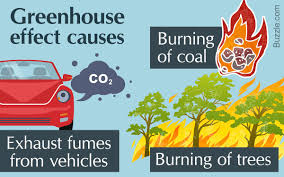 The Greenhouse Effect Easily Understood With A Diagram Greenhouse Gases Effect Greenhouse Effect Greenhouse Gases