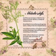 Https Www Facebook Com 471989362824278 Photos A 472012242821990 103185 471989362824278 843003752389502 Type 1 Pflanzen Krauter Pflanzen Heilpflanzen