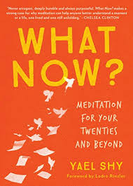 The book of gutsy women: What Now Meditation For Your Twenties And Beyond English Edition Ebook Shy Yael Amazon De Kindle Shop