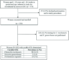 Flow Chart Of Women Attending Antenatal Care Clinic At