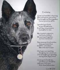Everlasting Dog Quotes Dog Poems Dog Love