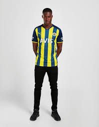 Ungarn spielte in der gruppe f und war damit einer der drei deutschen gruppengegner bei der em 2021. Puma Fenerbahce Fc 2021 22 Home Short Sleeve Jersey Herren Gelb Jd Sports Osterreich