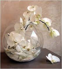 Resultats Google Recherche D Images Correspondant A Http Imblog Aufeminin Com Blog D20090206 241285 175118 Mail H071648 L J Bloemstukken Orchideeen Decoratie