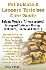 Everything You Need To Know About The Sulcata Tortoises And Leopard Tortoises And More Guaranteed To Answer Tortoise Care Sulcata Tortoise Leopard Tortoise