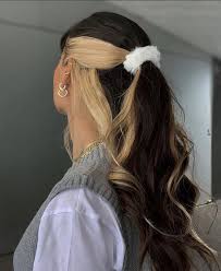This hairstyle looks totally normal — but there's a surprise underneath. Pin On Asthetic Outfits Hair Styles And Nails