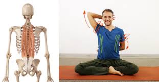 Heute habe ich wieder übungen für zuhause für dich wie du deinen rundrücken wegtrainieren und deine haltung verbessern kannst. Yoga Gegen Rundrucken Tipps Ubungen Und Videos