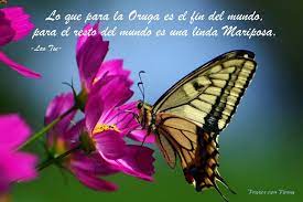 Pin En Frases Con Firma Blog