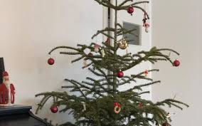 Also ab wann, machen diese stände auf und. Weihnachtsbaume Werden Abgeholt Radio Lippewelle Hamm
