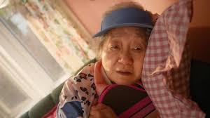 A lightning-in-a-bottle collaboration between Ore-Ida Tater Tots and Jon  Heder, returning to the screen as the iconic Napoleon Dynamite. The Kitchen  & Holiday Films reunites Director Aaron Ruell with Jon Heder for