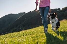We did not find results for: How Dogs Can Help People With Add Adhd A Useful Guide
