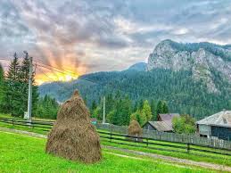 Vila gal, are o capacitate de cazare de 18 locuri in 8 camere duble dotate cu tv, digitv, terasa, minifrigider si bai proprii amplasate pe cele 2 nivele ale cladirii. Vila Adela Villa Reviews Lacu Rosu Romania Tripadvisor