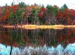 Maybe you would like to learn more about one of these? Saratoga Woods And Waterways Rare Mint Confirmed For Moreau Lake