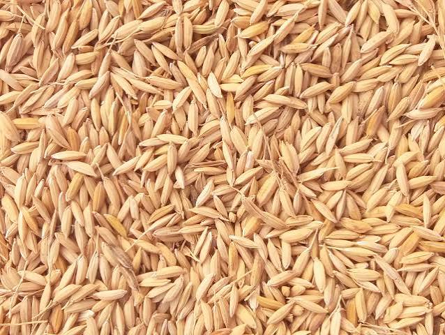 Rice Husk