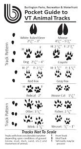 Images from this series have appeared in the new york times, and the boston globe. Animal Tracks Guide Burlington Parks Recreation Waterfront