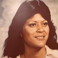 9522295_fbs.jpg?cb=20251230170038