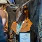 Tasmanian Craft Fair 2025 event image