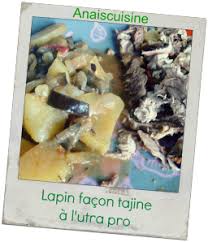 Ultra Pro Tupperware Lapin Facon Tajine Recette Lapin Tajine Recette