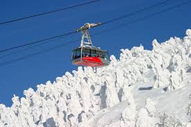 Image result for Hakkoda Walk