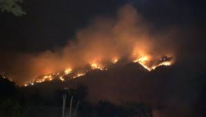 Antalya'nın alanya i̇lçesi'nde sabah saatlerinde başlayan orman yangını, 10 hektarlık alanda etkili oldu. Tfb1vgky Euifm