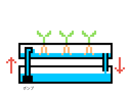 水 耕 栽培 オーバーフロー 自作