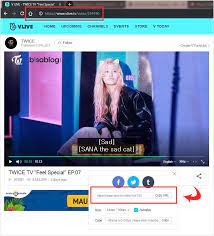 Mainkan video tersebut, tunggu hingga tombol idm download terbuka secara otomatis disekitar tampilan video yang dimainkan. Cara Download Video Vlive Dan Subtitlenya Bisablog