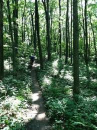 Greenbush Mountain Bike Trail, Plymouth, Wisconsin