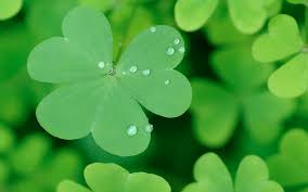 Also you can share or upload your favorite wallpapers. 75 St Patricks Day Desktop Wallpaper On Wallpapersafari