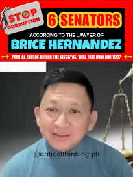 Atty Raymond Fortun