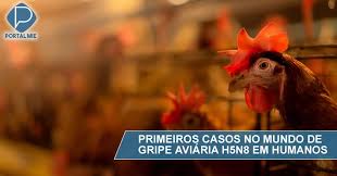 El brote estuvo ligado a los pollos. Russia Registra Primeiros Casos Do Mundo De Gripe Aviaria H5n8 Em Humanos Portal Mie