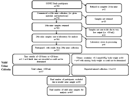 flow chart of assessment of valid 24 hour urine collections