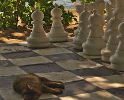 Der hochbegabte john versucht sich in der verrückten und korrupten welt de. Schach Matt Nach Dem Ersten Zug Heino Flickr