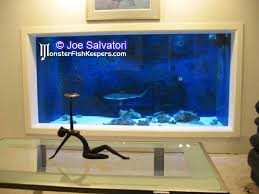 Check spelling or type a new query. Building A 1700 Gallon Shark Tank By Black Tip Monsterfishkeepers Com