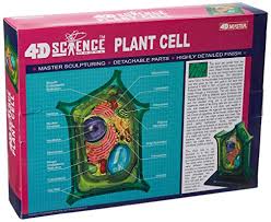 I made it with 123d design by autodesk custom section objectives from this project a student would learn the parts of a. Buy Famemaster 4d Science Plant Cell Anatomy Model Online At Low Prices In India Amazon In
