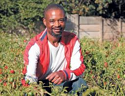 Small Land Big Dreams For Urban Veggie Farmer