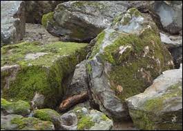 We can source these boulders in almost any shape and size to fit your application. Stone Boulders Six Different Types Of Landscape Boulders