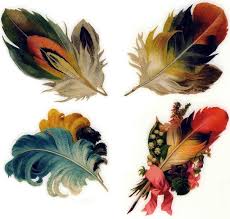 Feathers Peinture De Plume Art De Plume Dessin Plume