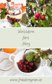 Vielfaltige Rezepte Mit Krauter Und Heilpflanzen Werden Wochentlich Auf Meinem Blog Veroffentlicht Weissdorn Lebensmittel Essen Gemuse Einmachen