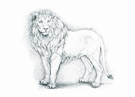 Practice drawing and shading with pencil this is an old lesson from a textbook for using pencils to add shadow to drawings. Pencil Shading Drawing Of Animals Pencildrawing2019