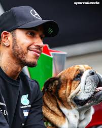 What happened to Coco, Lewis Hamilton's other dog? Here's what to know  about Roscoe's companion. 🐶 Find out here 👇🏻