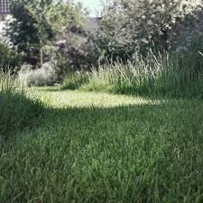 Gartenhack Beete Planen Mit Rasen In 2020 Sommergarten Naturgarten Garten Anlegen