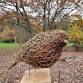 Create a willow robin workshop event image