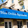 Blue Orchid Restobar from www.blueorchidrestaurant.blue