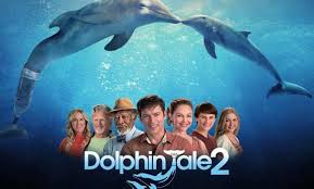The types of animal films you'll see basically fall into one of two categories: 15 Movies To Watch Featuring St Pete Clearwater Visit St Petersburg Clearwater Florida