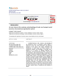 Is there a way to handle this more elegantly? Pdf An Over View On The Anatomy And Physiology Of Male One Humped Camel Camelus Dromedarius Reproductive System Abdulrahman Bello Dvm Msc Phd Academia Edu
