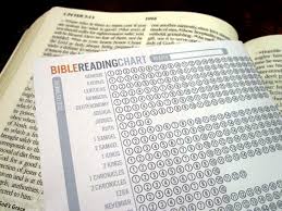 little seed diy bible reading chart