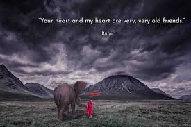 Maybe you would like to learn more about one of these? Best Rumi Birthday Quotes 150 Rumi Quotes To Help You Enjoy Life Rumi Quotes Rumi Love Quotes Best Rumi Quotes