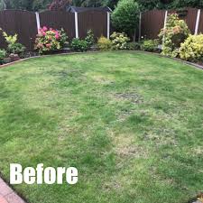 Not only does this make your lawn more enjoyable but it also reduces the chances of getting these bugs in your house. Renovation Green Man Lawn Care